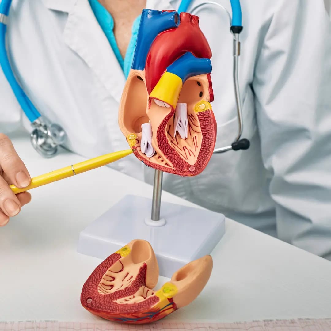 Консультація кардіолога