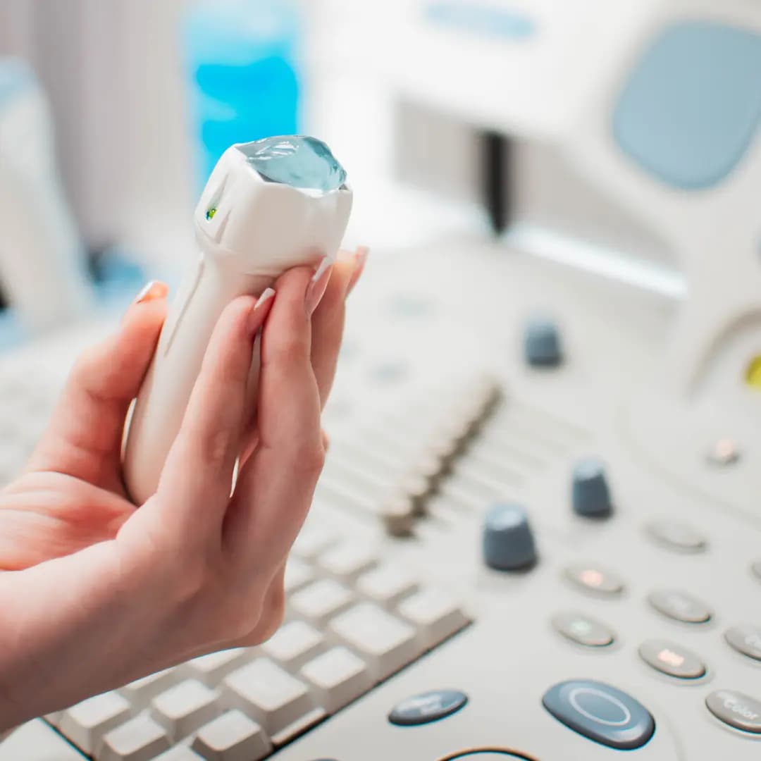 УЗД нирок та сечового міхура